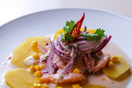 Ceviche with salmon and onionの写真素材