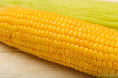 Ripe fresh young cornの写真素材