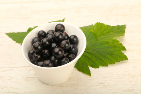 Ripe black currants in the bowl with leafの写真素材