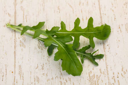 Green fresh ripe Rocket leavesの写真素材