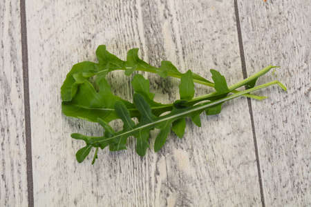 Green fresh ripe Rocket leavesの写真素材