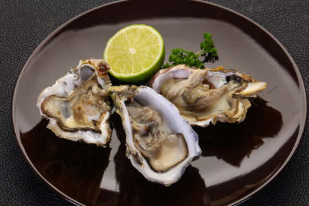 Fresh Oysters with lime and parsleyの写真素材