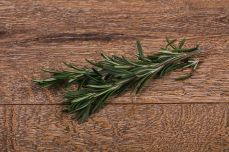 Fresh green Rosaemary branch - spice for cookingの写真素材