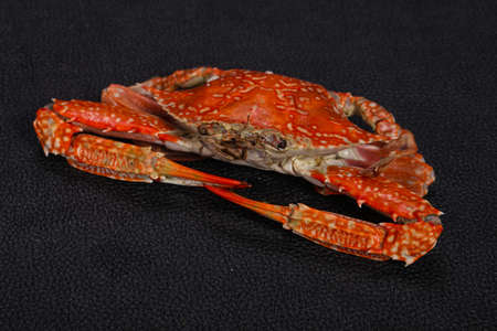 Delicious Boiled crab - ready for eatの写真素材
