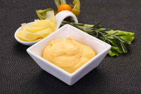 Cheese sauce in the bowl served sliced parmesanの写真素材