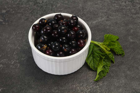 Fresh ripe sweet black currant berries