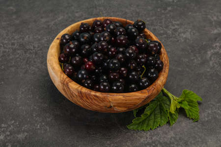 Fresh ripe sweet black currant berriesの写真素材