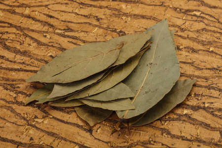 Dry laurel leaves - ready for cookingの写真素材