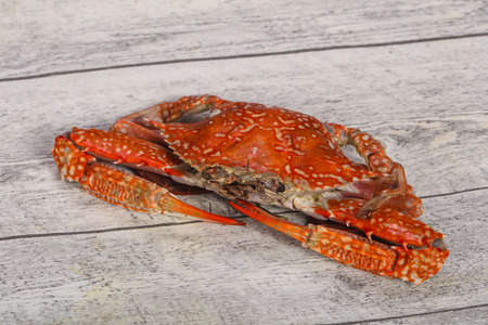 Delicous Boiled crab - ready for eatの写真素材