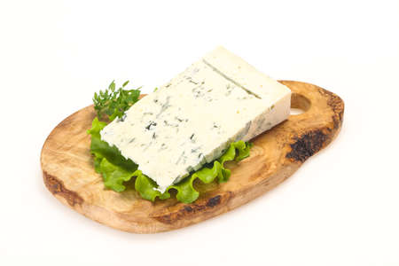 Italian traditional gorgonzola soft cheese with mold