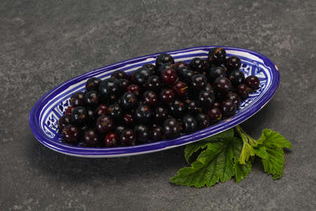 Fresh ripe sweet black currant berriesの写真素材