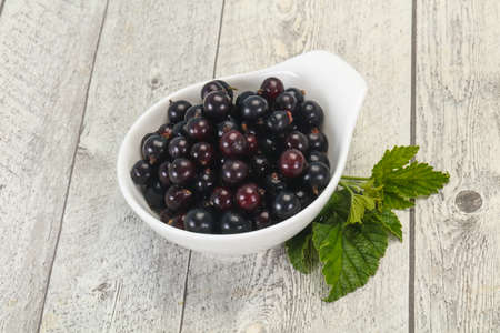 Fresh ripe sweet black currant berriesの写真素材