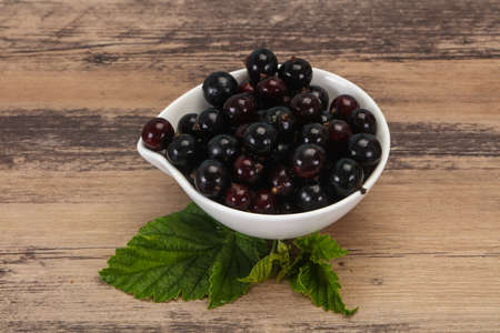 Fresh ripe sweet black currant berriesの写真素材