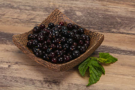 Fresh ripe sweet black currant berriesの写真素材