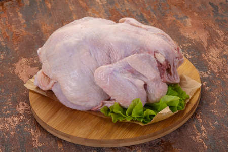 Raw tasty chicken ready for cookingの写真素材