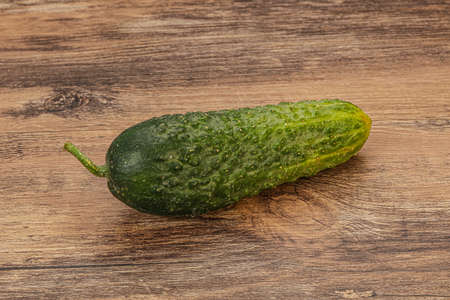 Green ripe fresh one cucumber over backgroundの写真素材