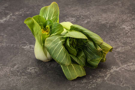 Asian vegan cuisine - Pack Choy saladの写真素材