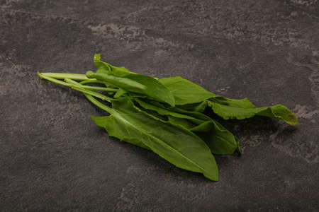 Aroma Fresh green sorrel herb heap