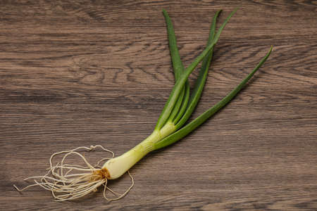 Young fresh tasty green onion seasoningの写真素材