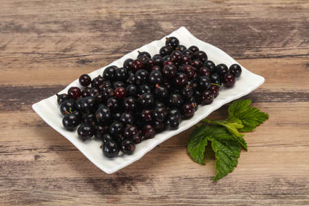 Fresh ripe sweet black currant berriesの写真素材