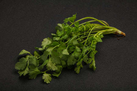 Aroma green coriander or cilanto leaves heapの写真素材