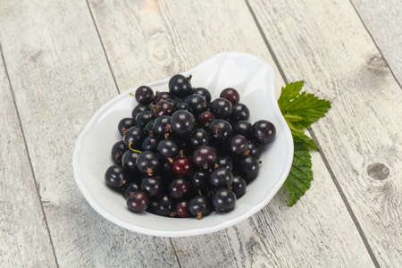 Fresh ripe sweet black currant berriesの写真素材