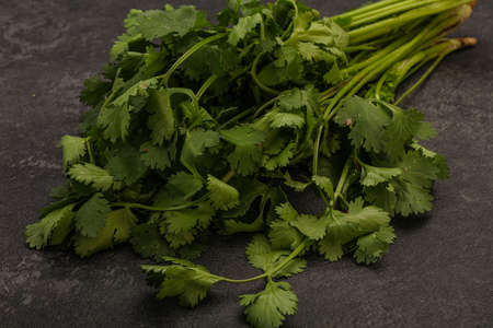Aroma green coriander or cilanto leaves heapの写真素材