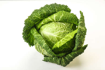 Organic Savoy Cabbage dietary for cooking