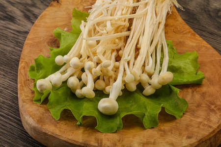 Raw Japanese Enoki mushrooms for cookingの写真素材