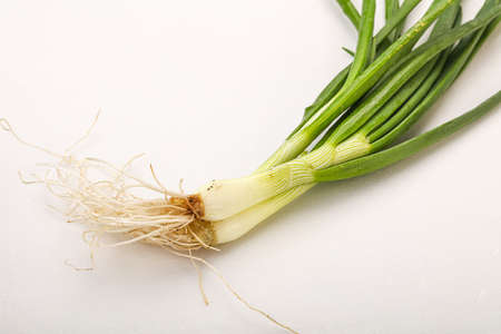 Young fresh tasty green onion seasoningの写真素材
