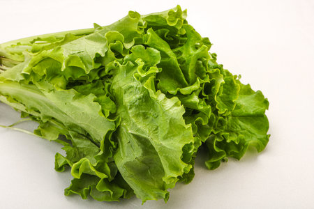Vegan cuisine - Green lettuce salad heap leaves
