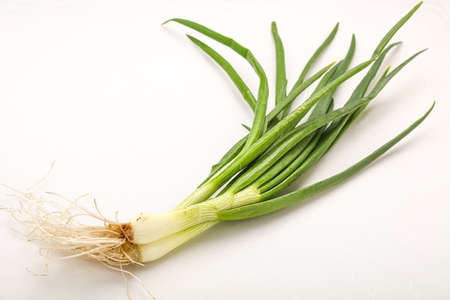 Young fresh tasty green onion seasoningの写真素材