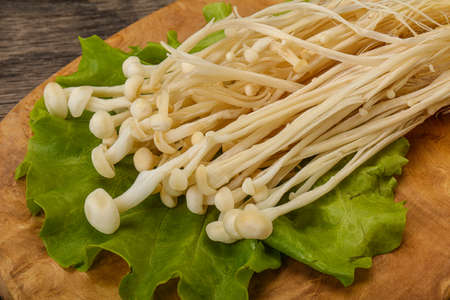 Raw Japanese Enoki mushrooms for cookingの写真素材