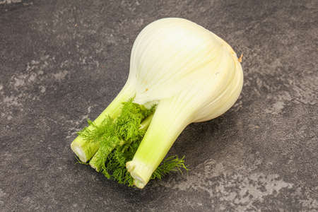 Organic vegan food - fennel root for cookingの写真素材