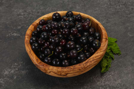 Fresh ripe sweet black currant berriesの写真素材