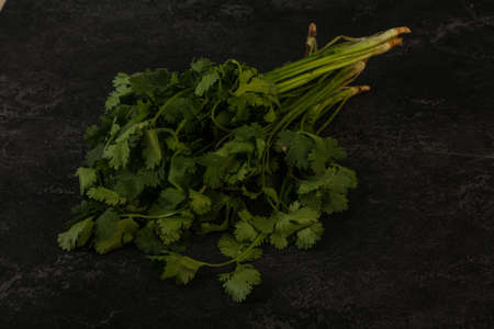 Aroma Green coriander or cilanto leaves heapの写真素材