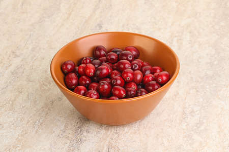 Ripe sweet tasty fresh cranberry in the bowlの写真素材