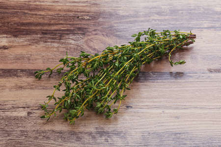 Fresh green aroma Thyme branch heapの写真素材