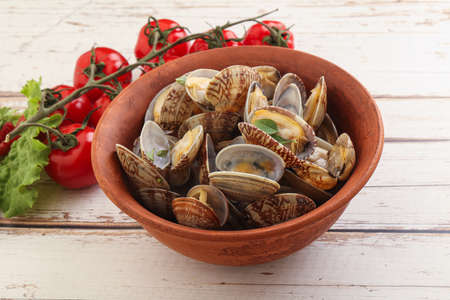 Vongole shellfish mollusc clem with garlic butterの写真素材