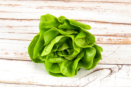 Butter lettuce salad green  leaves over wooden backgroundの写真素材