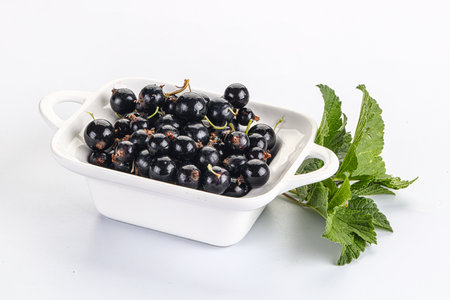 Juicy and sweet black currant berries in the bowlの写真素材