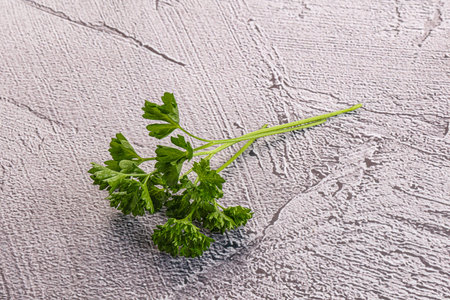 Green parsley leaves aroma heap isolatedの写真素材