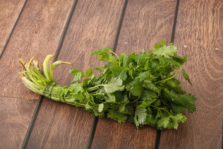 Green coriander leaves aroma heap for cookingの写真素材