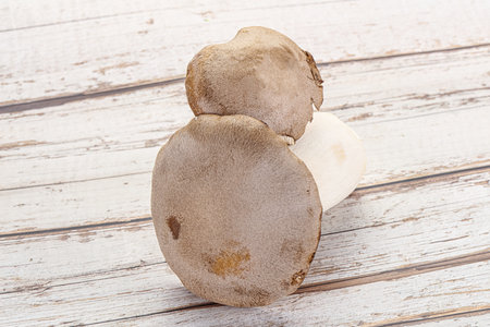 Two Raw Eringi mushrooms for cookingの写真素材