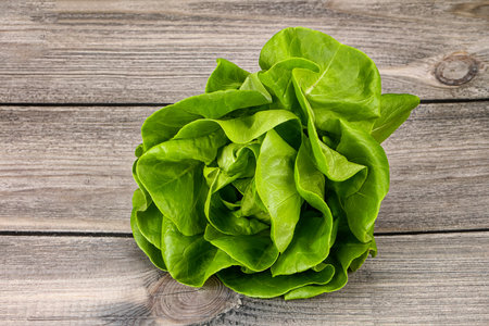 Butter lettuce salad green leaves over wooden backgroundの写真素材