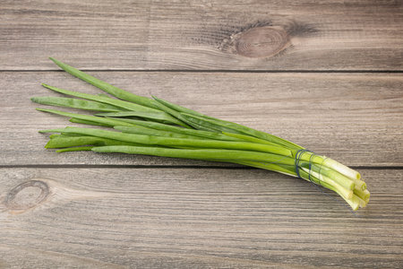 Raw young spring green onion heapの写真素材