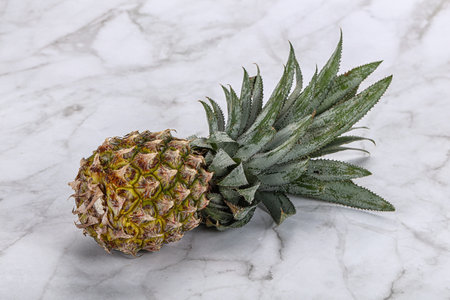 Sweet organic ripe natural tropical pineappleの写真素材