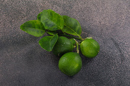 Fresh juicy ripe green sour lime