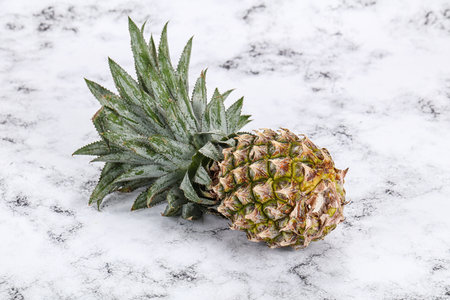 Sweet organic ripe natural tropical pineappleの写真素材