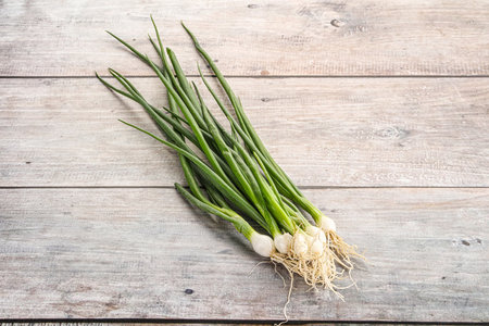 Young aroma fresh green onion heapの写真素材